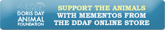 Support the Animals with Mementos from the DDAF Online Store